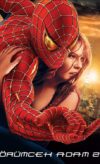 Örümcek Adam 2 izle