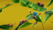 A Real Bug’s Life izle